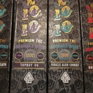 10/10 premium  Disposable UK